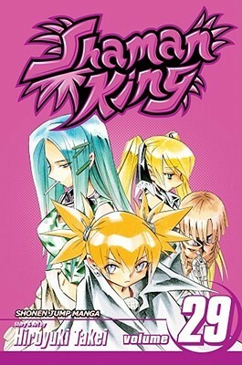 Shaman King, Vol. 29 by Hiroyuki Takei