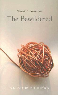 The Bewildered by Peter Rock