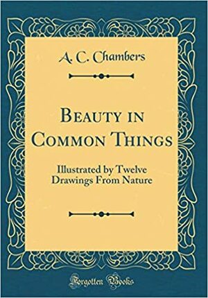 Beauty in Common Things: Illustrated by Twelve Drawings from Nature by A C Chambers