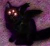 nico_aurelia's profile picture