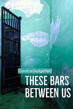 These Bars Between Us by CarolineSedgefield