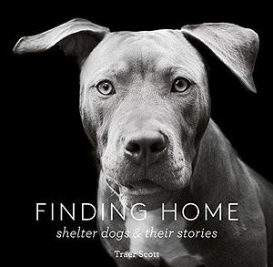 Finding Home: Shelter Dogs & Their Stories by Traer Scott, Traer Scott