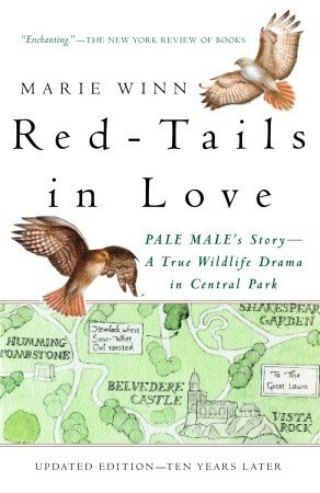Red-tails in Love: Pale Male's Story—A True Wildlife Drama in Central Park by Marie Winn