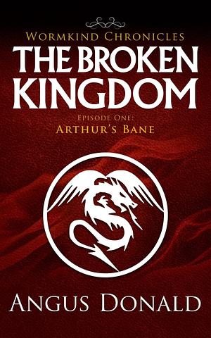 The Broken Kingdom by Angus Donald