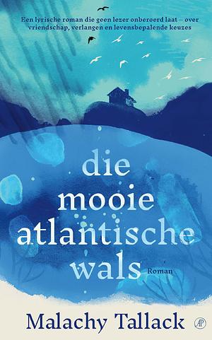 Die mooie Atlantische wals by Malachy Tallack