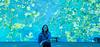 annie_reads_the_world's profile picture