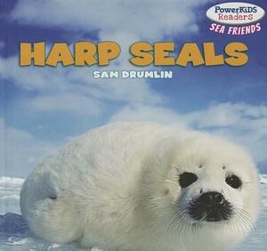 Harp Seals by Sam Drumlin