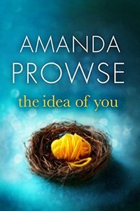 The Idea of You by Amanda Prowse