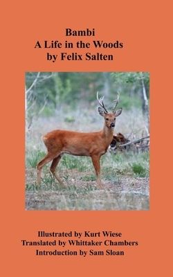 Bambi A Life in the Woods by Felix Salten