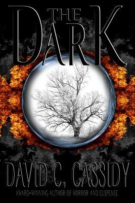The Dark by David C. Cassidy