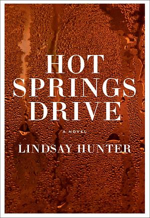 Hot Springs Drive by Lindsay Hunter