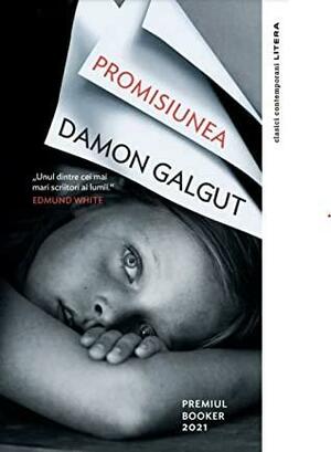Promisiunea by Damon Galgut