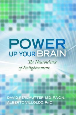Power Up Your Brain by David Perlmutter, Alberto Villoldo