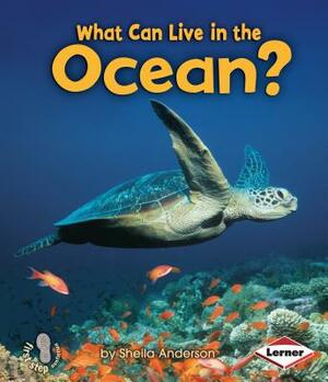 What Can Live in the Ocean? by Sheila Anderson