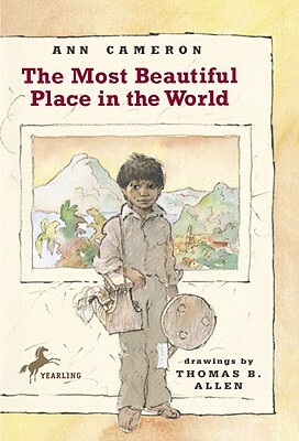The Most Beautiful Place in the World by Ann Cameron