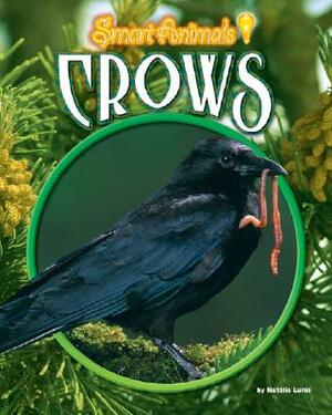 Crows by National Geographic Learning