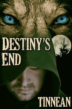 Destiny's End by Tinnean