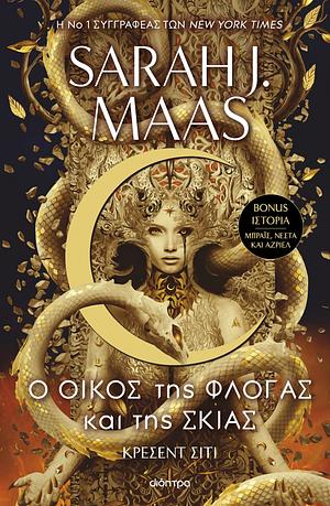 Ο οίκος της φλόγας και της σκιάς by Sarah J. Maas