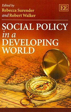 Social Policy in a Developing World by Robert Walker, Rebecca Surender