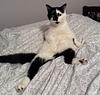 javanna's profile picture
