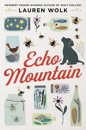 Echo Mountain by Lauren Wolk