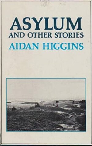 Asylum and Other Stories by Aidan Higgins