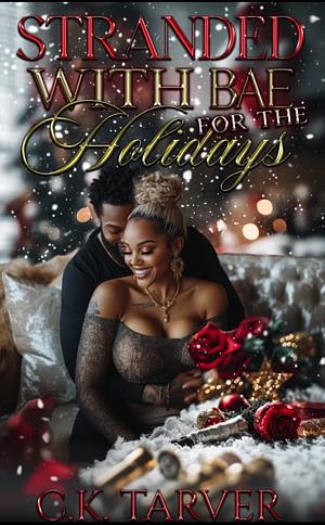 Stranded With Bae For The Holidays by C.K. Tarver