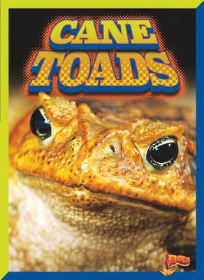 Cane Toads by Barbara Ciletti