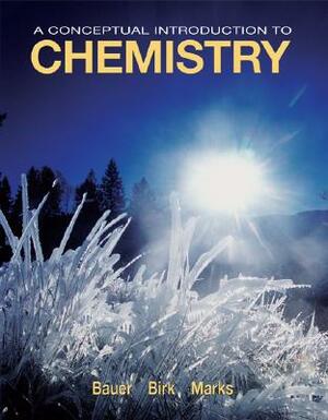 A Conceptual Introduction to Chemistry by Pamela S. Marks, Rich Bauer, James Birk