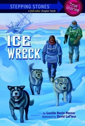 Ice Wreck (A Stepping Stone Book) by Lucille Recht Penner, David LaFleur