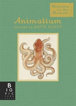 Animalium (Mini Gift Edition) by Katie Scott, Jenny Broom