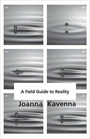 A Field Guide to Reality by Joanna Kavenna, Oly Ralfe