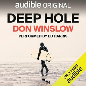 Deep Hole by Don Winslow
