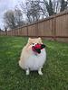 gwae94's profile picture