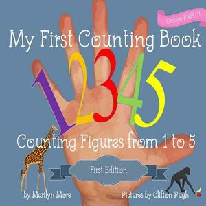 My First Counting Book: Counting Figures from 1 to 5 by Marilyn More