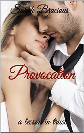 Provocation: a lesson in trust by Sarah Brocious