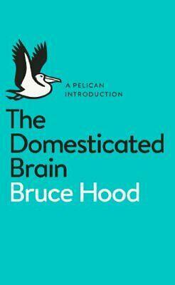 The Domesticated Brain by Bruce M. Hood