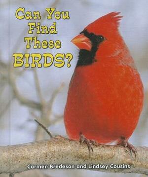 Can You Find These Birds? by Carmen Bredeson, Lindsey Cousins