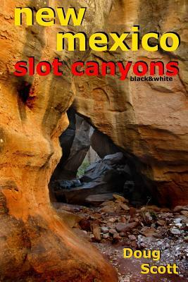 New Mexico Slot Canyons Black&White by Doug Scott