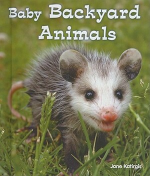 Baby Backyard Animals by Jane Katirgis