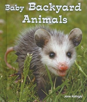 Baby Backyard Animals by Jane Katirgis