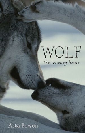 Wolf: The Journey Home by Asta Bowen