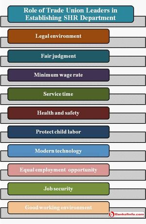 Trade Unions in the Green Economy: Working for the Environment by Nora Räthzel, David Uzzell