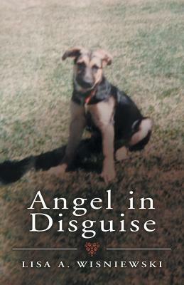 Angel in Disguise by Author
