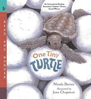 One Tiny Turtle by Nicola Davies