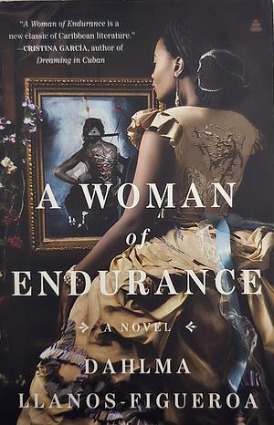 A Woman of Endurance: A Novel by Dahlma Llanos-Figueroa