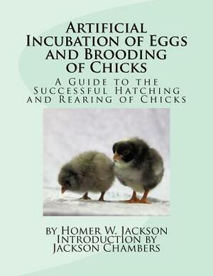 Artificial Incubation of Eggs and Brooding of Chicks: A Guide to the Successful Hatching and Rearing of Chicks by Homer W. Jackson