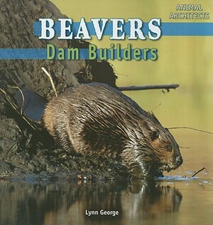 Beavers: Dam Builders by Lynn George