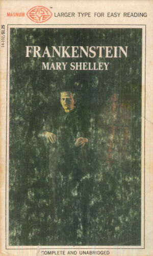 Frankenstein by Mary Shelley