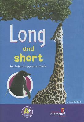 Long and Short by Lisa Bullard